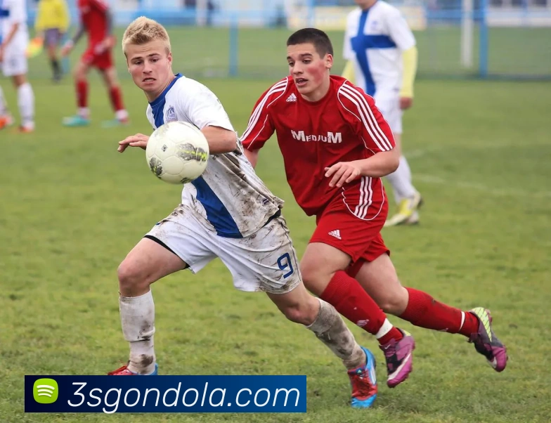 星空体育官方网页入口APP 高清赛事图